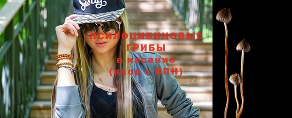 дурь Балахна