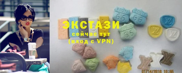 хмурый Аркадак