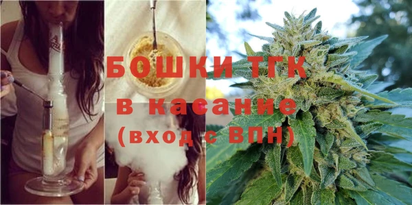 хмурый Аркадак