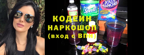 хмурый Аркадак