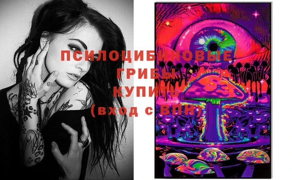 дурь Балахна