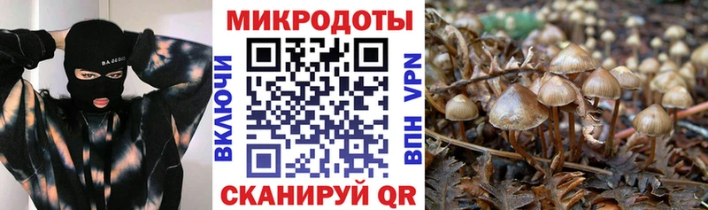 Псилоцибиновые грибы MAGIC MUSHROOMS  МЕГА рабочий сайт  Зеленокумск 